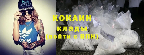шишки Алексин