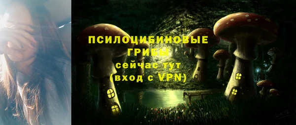 гашишное масло Гусев