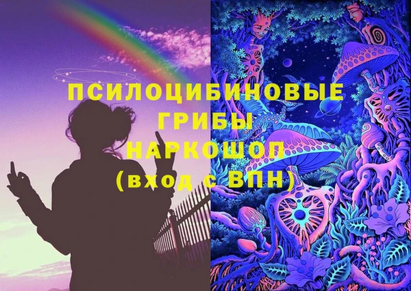 шишки Алексин