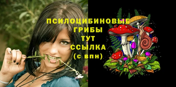 дурь Алзамай