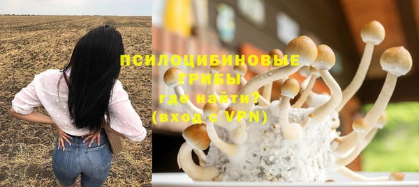 шишки Алексин