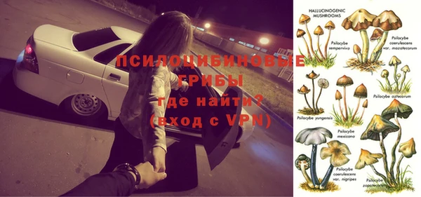 шишки Алексин