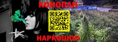 ешки Новозыбков