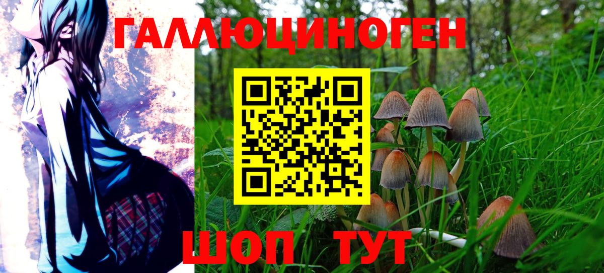 купить наркоту  Галлюциногенные грибы MAGIC MUSHROOMS  Вход с VPN  Тихвин 
